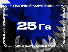 Электропастух для КРС на 25 Га