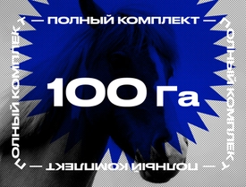 Электропастух для лошадей на 100 Га