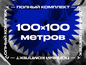 Электропастух для свиней 100x100 метров